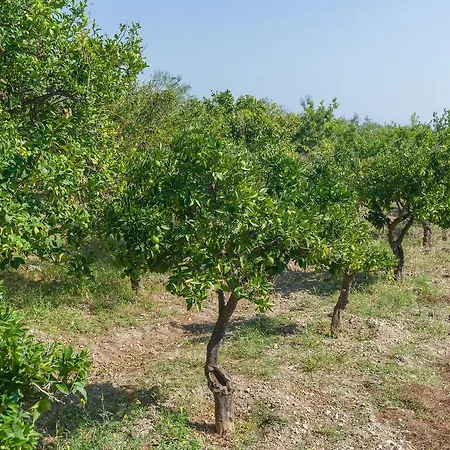 Appartamento Rosa Mattinata
