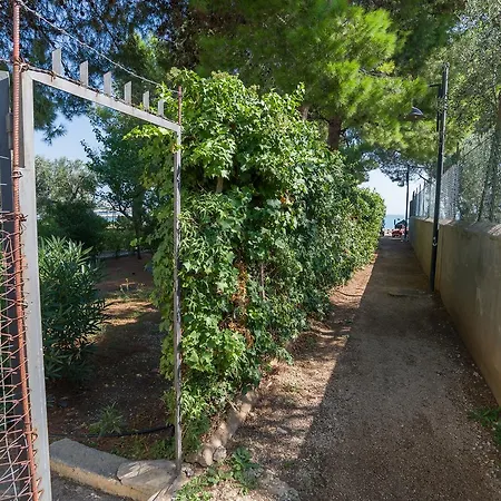 Apartment Rosa *